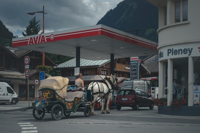 Bílý kůň s kočárem na ulici během dne